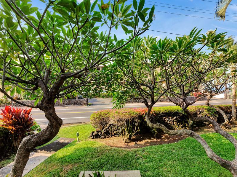 Castle Kona Bali Kai A Condominium Resort Холуалоа Экстерьер фото